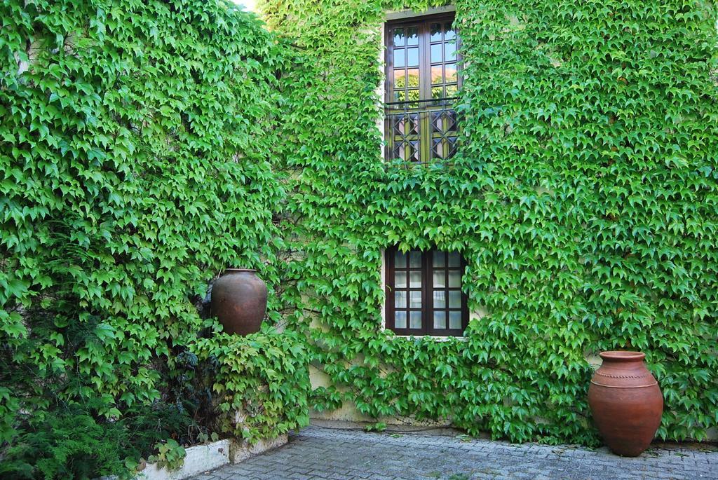 Rio NaturAL Vila Nova de Milfontes Exterior foto